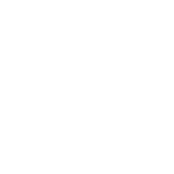 ROS DJ - Professional Ukrainian DJ Logo